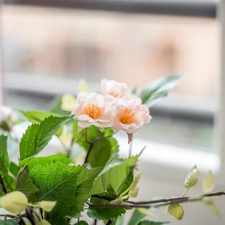 *casa Mulino - Storia E Modernità* Apartamento Modena