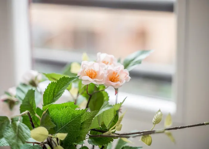 *casa Mulino - Storia E Modernita* Διαμέρισμα Μόντενα