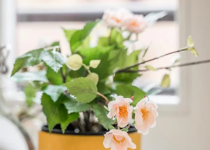 *casa Mulino - Storia E Modernita* *